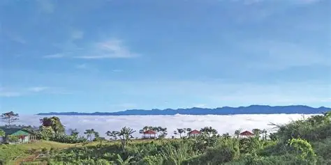 সাজেক